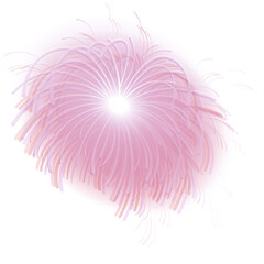 Obraz premium Firecrackers or fireworks