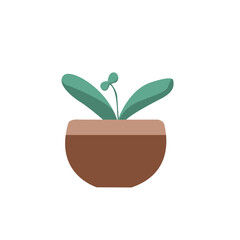 Rubber Plant Illustration