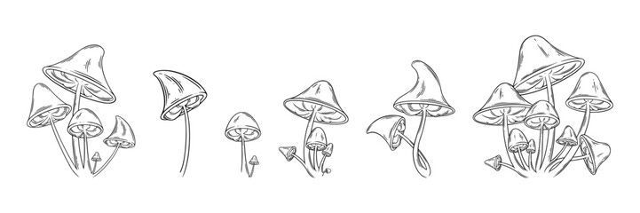 Poison mushrooms set. Psychedelic mushrooms for halloween designs. Vector illustration isolated in white background