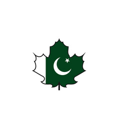 Pakistan flag icon png