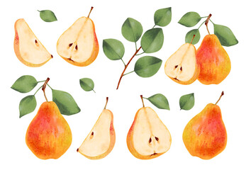 Collection of yellow pears. Whole, halves and pieces of pear with green leaves. Ripe fruits from a tree. Vegetarian products. Organic food. Watercolor illustration. Hand drawn isolated. - obrazy, fototapety, plakaty