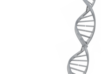 Digital png illustration of gray dna chain on transparent background