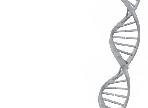 Digital png illustration of gray dna chain on transparent background - Powered by Adobe