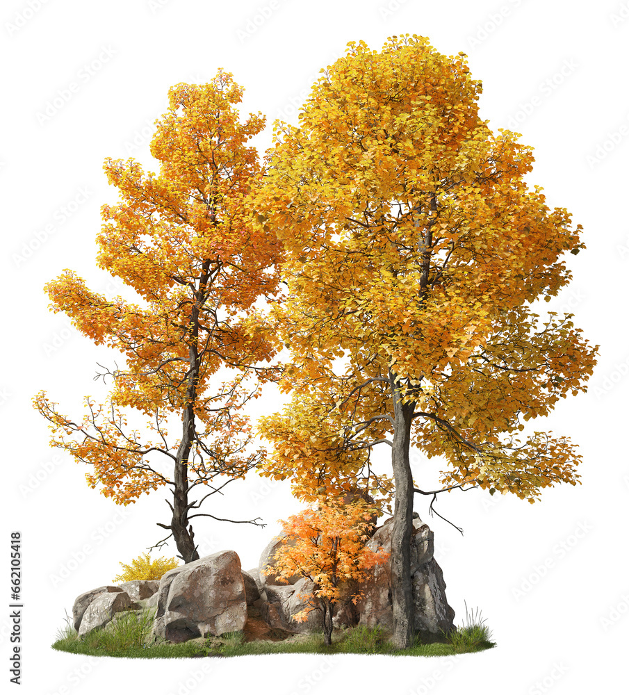 Fototapete group of deciduous trees among the rocks. cutout yellow trees in autumn isolated on transparent back