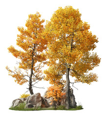 Group of deciduous trees among the rocks. Cutout yellow trees in autumn isolated on transparent background. Forest scape for landscaping or architectural visualisation. Colorful tree line in fall