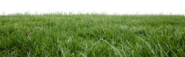 Digital png photo of green grass field on transparent background