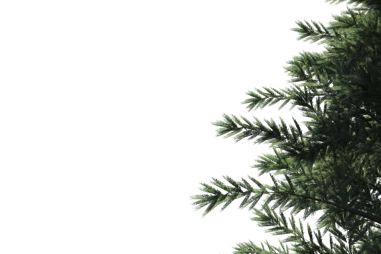 Digital png illustration of green fir tree on transparent background