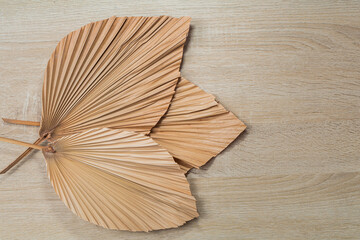 Dried palm leaf on wooden background with copy space.