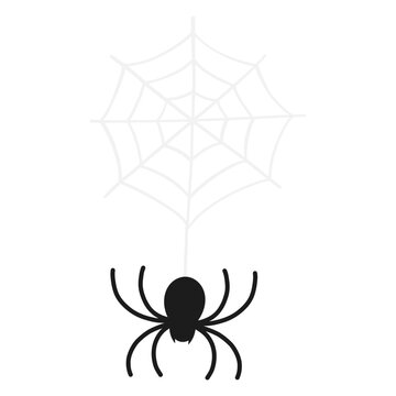 spider on a web halloween illustration