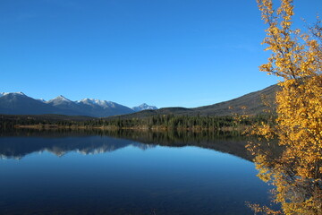 Autumn Along The Lake, Jasper National Park, Alberta