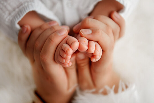 Baby's feet in in the hands of parents. Closeup photo. Happy Family concept. 
