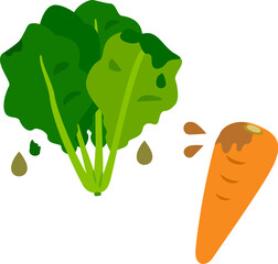 傷んでドロドロになった野菜