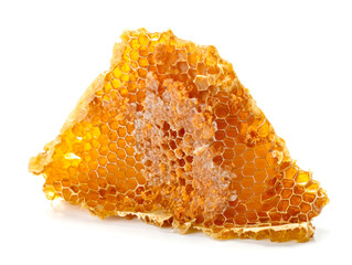 Honeycomb isolated on white background.