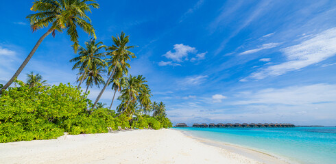 Obraz premium Fantastic sunny panorama at Maldives. Luxury resort seascape. Majestic sea waves coconut palm trees sand sunshine sky. Beauty paradise beach popular destination. Best summer vacation travel background