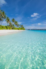  Fantastic sunny panorama at Maldives. Luxury resort seascape. Majestic sea waves coconut palm trees sand sunshine sky. Beauty paradise beach popular destination. Best summer vacation travel background © icemanphotos