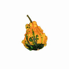 Decorative pumpkins on a white background. Suitable for pasting into a Halloween promotional banner.