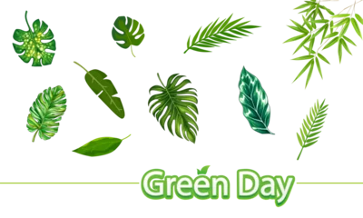 Zelfklevend Fotobehang Tropische bladeren Monstera green leaves. Tropical palm leaf with Green Day vector illustration.