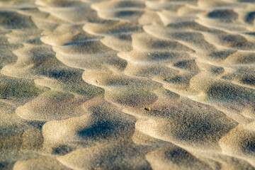 Dunes de sable