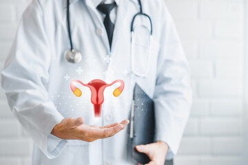 Healthy feminine concept . doctor holding virtual uterus reproductive system , woman health, PCOS,...