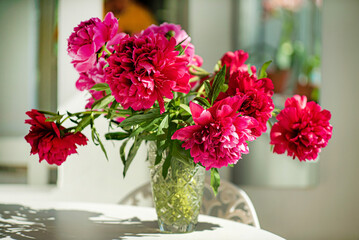 red peony in the vase
