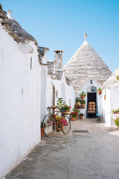 bicycle in the old village