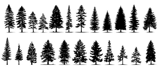 set of silhouettes of trees. pine trees isolated images. spruce tree illustration for winter christmas. eps 10 - obrazy, fototapety, plakaty