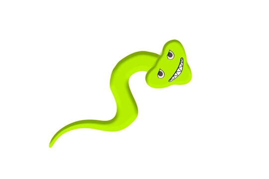 green snake on white background