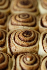 Freshly baked cinnamon rolls or Cinnabon close up