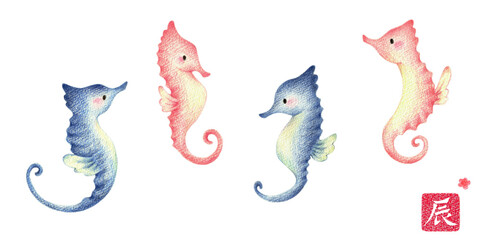 タツノオトシゴのセットと辰年のハンコ　手描き色鉛筆画
