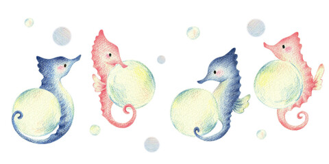 泡を持つタツノオトシゴ　手描き色鉛筆画