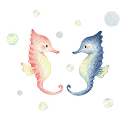 タツノオトシゴのカップル　手描き色鉛筆画