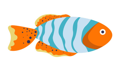 Ocellaris clownfish, marine exotic fish vector