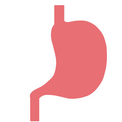 Obraz premium Stomach icon and stomach illustration