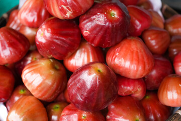 Syzygium malaccense is a species of flowering tree native to Malesia and Australia. It is one of the species cultivated since prehistoric times by the Austronesian peoples. Indonesian fruit.
