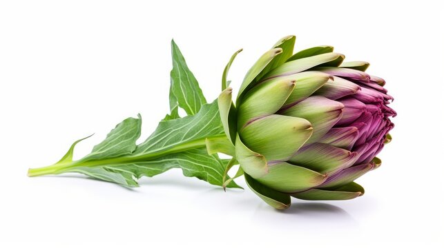 A visually isolated artichoke flower with its edible bud, presented alongside a cross-section view, all set against a clean white background for enhanced clarity and focus.