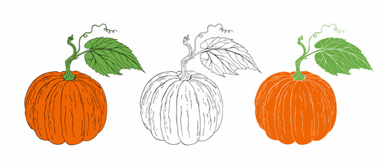 Pumpkin, Flat Design. Vector illustration
