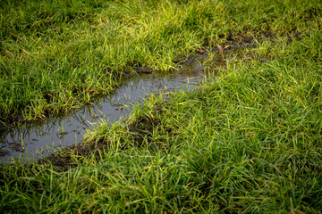 ditch with water in green grass meadow