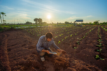 Asian male hands touching soil on the field. Business or ecology concept. a farmer checking soil...