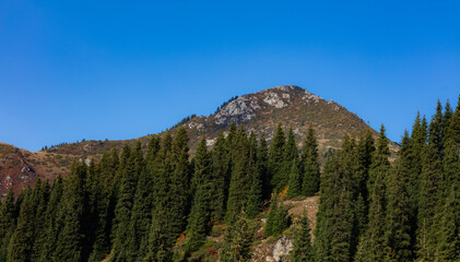 Obraz premium park state country