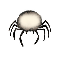 spider lable on halloween