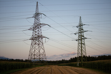 Power lines in the field