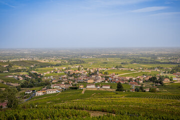Fototapeta na wymiar Vue sur les vignobles depuis la Chapelle de la Madone à Fleurie