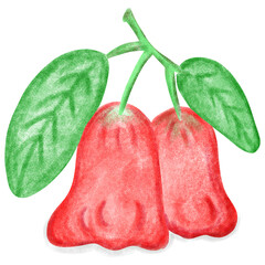 two red pink fruits