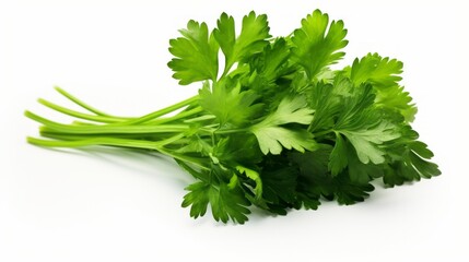 Fresh green parsley on a clean white background