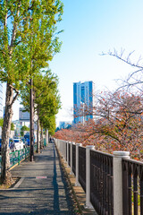 市ケ谷駅から続く江戸城外堀沿いのフェンス