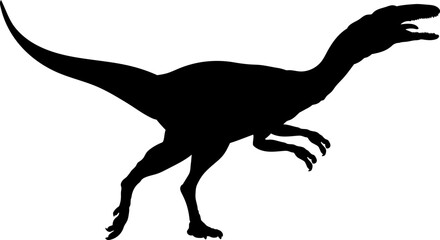 Compsognathus Dinosaur Silhouette vector Types of dinosaurs breeds