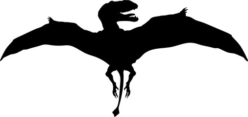 Dimorphodon Dinosaur Silhouette vector Types of dinosaurs breeds - obrazy, fototapety, plakaty