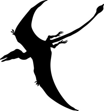 black pterodactyl soaring silhouette against white clip art preview
