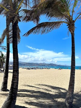 Las Canteras