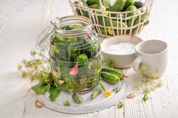 Preparation for pickled cucumbers with garlic, horseradish and dill.